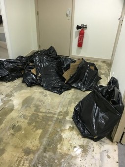 sacs poubelles à jeter