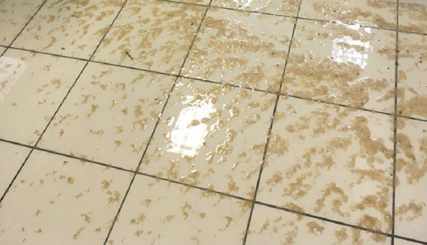 Nettoyage après un sinistre de dégât des eaux